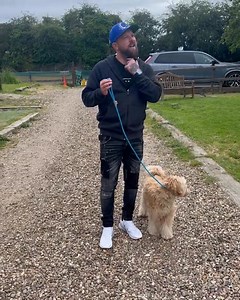 Cockapoo Lead Walking 🔥 In this video we use a figure of 8 slip lead. We have more in depth videos about halti’s and figure of 8’s on our Southend Dog Training App #dogs #dogtraining | Southend Dog Training