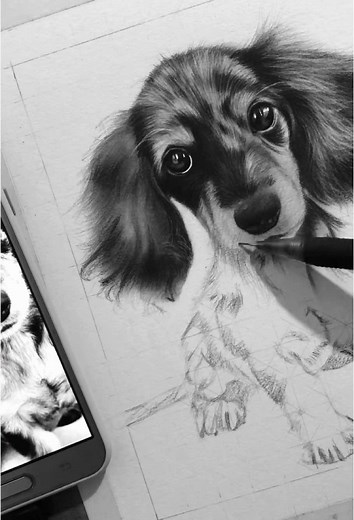 #wip #fluffy #drawing #pencildrawing #srchafreen #artwork #fyp
