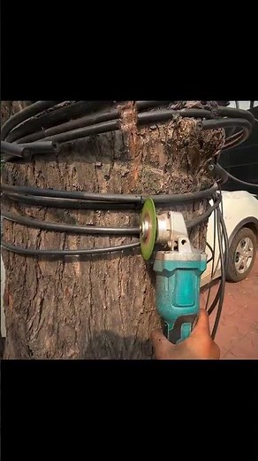 One day, we saved billions of trees in India 🇮🇳 yes, you can remove the wire and save tree