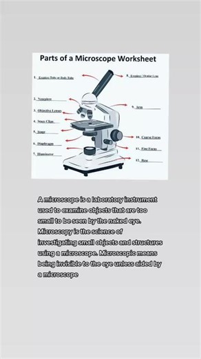 Exploring Microscope Parts in Grade 7 Science
