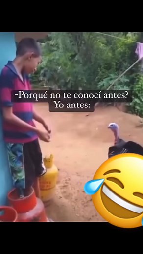 46K views · 806 reactions | Letras de Canciones on Reels | Facebook