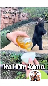 28K views · 71K reactions | Swad to hai 藍藍. DM for credits or removal request. (No copyright intentions for video footage and/or music) All rights and credits reserved to the respective owners) Non- Profit, educational or personal use tips the balance in favor of FAIR USE. @janwar_mp11_wale #funny #hindi #comedy #comedy #up #pet #lover #funny #hindi #baby #dog #doglover | Abhishek Solanki | Facebook