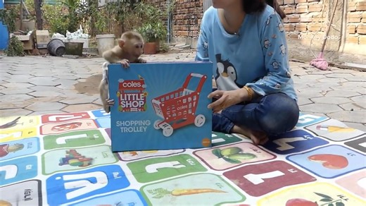 36 reactions | [Most Exciting & Surprise] Moly Help Mom Unbox Shopping Stroller | Moly Like Shopping Stroller Part 1 | Monkey Dodo | Facebook