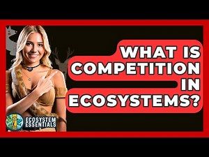What Is Competition In Ecosystems? - Ecosystem Essentials