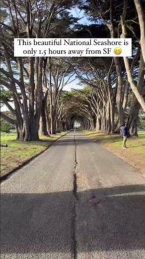 📍 Point Reyes National Seashore