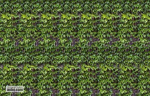 Stereogram Explorer software - Make perfect stereograms easy - aolej.com