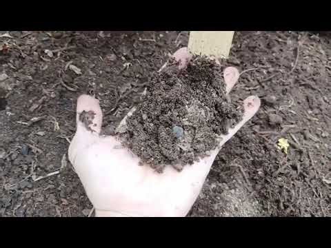 DIY Compost Screen in 15 Minutes! 🤯