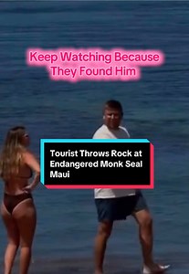 UPDATE ROCK THROWN AT HAWAIIAN MONK SEAL A man was caught on camera throwing an object toward a monk seal while it was swimming in the water off the Lahaina shoreline. The Division of Conservation and Resources Enforcement’s (DOCARE) Maui Branch was notified of a case of monk seal harassment by Maui Police Department Dispatch. A DOCARE officer received the call and responded to the scene. While enroute, the officer was able to contact the reporting party and obtain a description of the alleged s