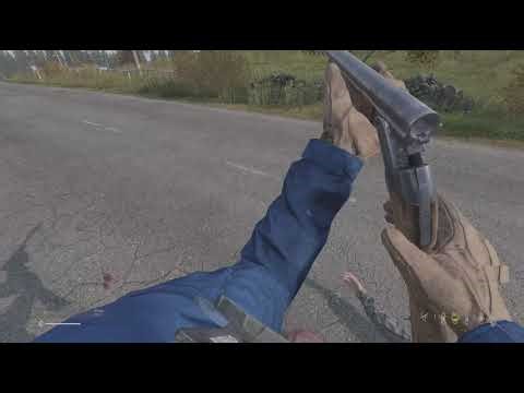 Random player encounter in DayZ