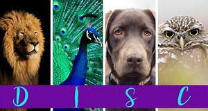 What Is A DISC Personality Assessment?