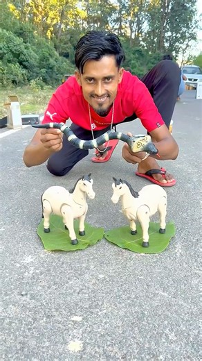 RC Snake vs RC Horse Unboxing & Testing