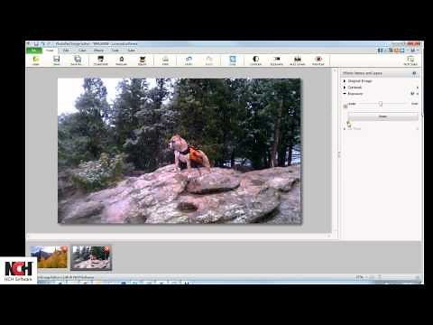 PhotoPad Photo Editing Software | Overview