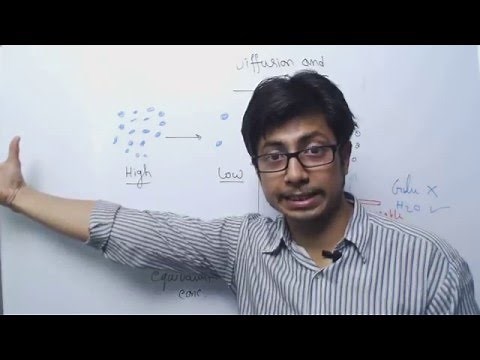Diffusion and Osmosis