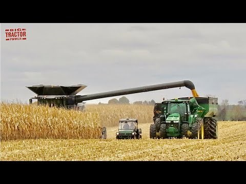 FENDT IDEAL 9T Combine Harvesting Corn