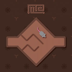 Elevated Plus Maze: Understanding the Basics - Maze Engineers