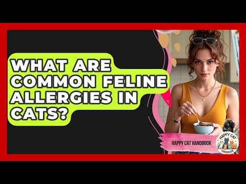What Are Common Feline Allergies In Cats? - Happy Cat Handbook