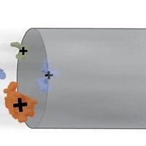 视频: MALDI-TOF 质谱法 - 原理、作和用途