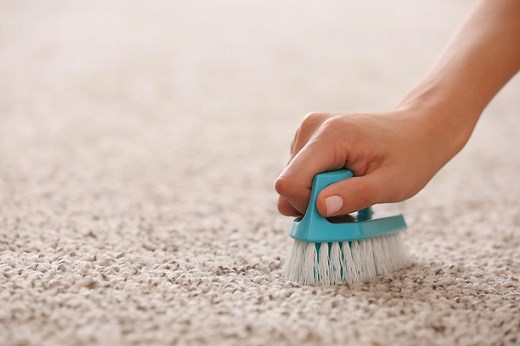 How to Get Mold Out of Carpet