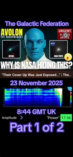 Part 1 of 2 #galacticfederation #thegalacticfederation #galactic #fyp #schumannresonance