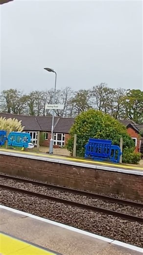 Class 158 flies past Harling Road at full speed