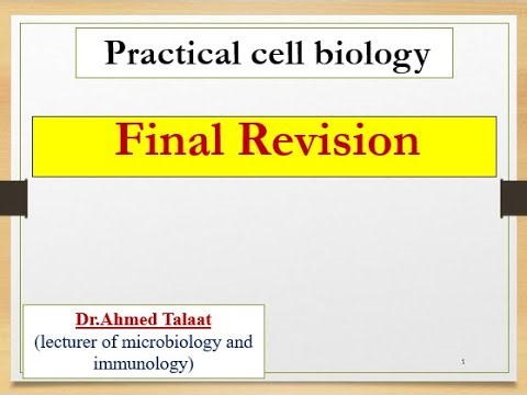 Quick revision on practical cell biology