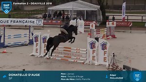 68K views · 684 reactions |  DONATELLO D'AUGE  Grand vainqueur de...