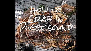 The Best Crabbing Techniques for Puget Sound