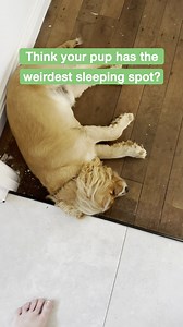 249 reactions · 23 comments |  Giveaway time!  For a chance to WIN...