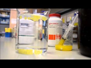 Encapsulation in Alginate Gels