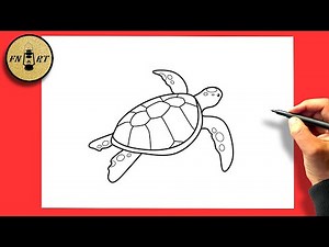 How to draw a sea turtle easy step by step