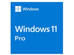 Microsoft Windows 11 Pro - OEM DVD 64-bit English (1 Pack) | FQC-10528 | Windows | Microsoft