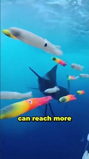 giant sailfish.