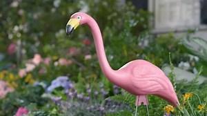 Anyone can have a beautiful garden this Spring. Go to Lowe’s and Make Your Home Happy. | Lowe's Home Improvement