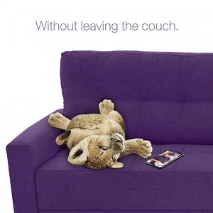 94 reactions · 7 comments | Hands full, lion down or busy with the kids? TELUS SmartHome Security lets you accept deliveries contact-free, right from your phone. Get the Smart Camera Plan from only $12/mo. | TELUS | Facebook