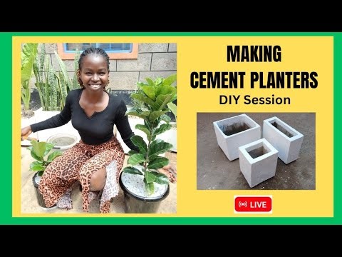 ⭐ “Making Cement Planters – LIVE DIY Session”