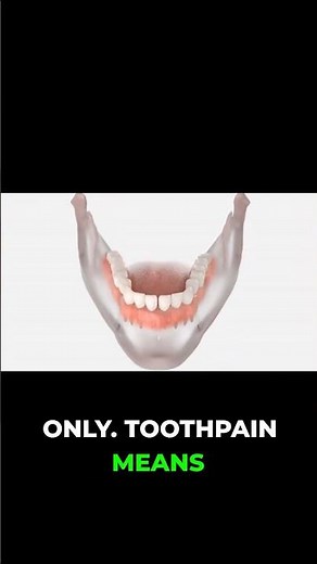 Clove Oil for Tooth Pain? PLUS What to AVOID!