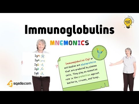 Immunology Mnemonics | Immunoglobulins