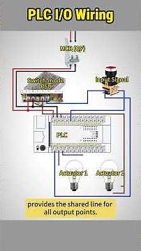 How to Wire PLC Inputs & Outputs