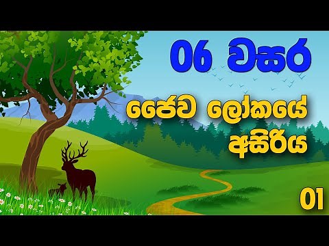Grade 06 Science lessons in Sinhala | Unit 01 Part 1 | 6 වසර විද්‍යාව 01 පාඩම | ජෛව ලෝකයේ අසිරිය