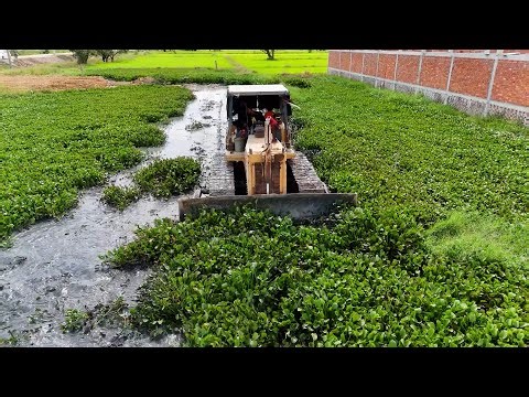 Start Land Filling By Skill Old Dozer Pushing Soil And Cleans Trakiet 25ton Dump Trucks Dumping Soil