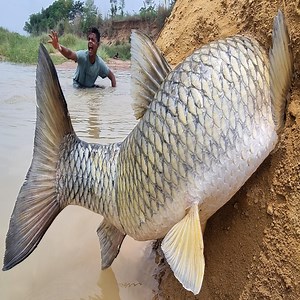 1.5M views · 11K reactions | Top 10 Amazing Hand Fishing Video Unbelievable Technique River Hill Big Stuck Fish Catching #fish | Only Fishing | Facebook