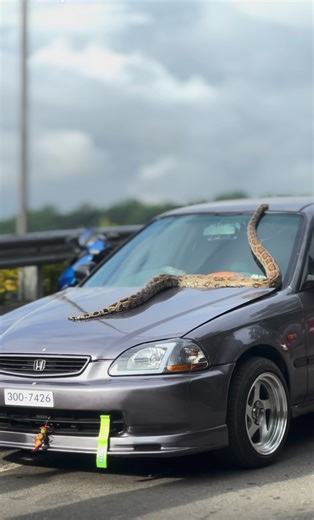 Discover Your Honda EK3 Dream Car Experience