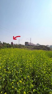 588K views · 1.8K reactions | Emu Local Train | Indian life lines | Facebook