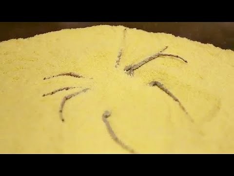 giant spider in my food..