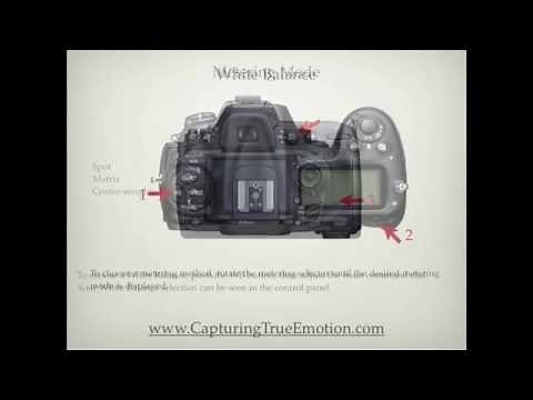 Nikon D300s Settings