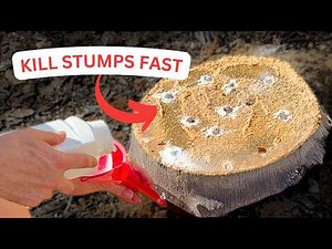 How to Kill a Tree Stump FAST with Stump Remover (No Grinder Needed) | DIY Potassium Nitrate