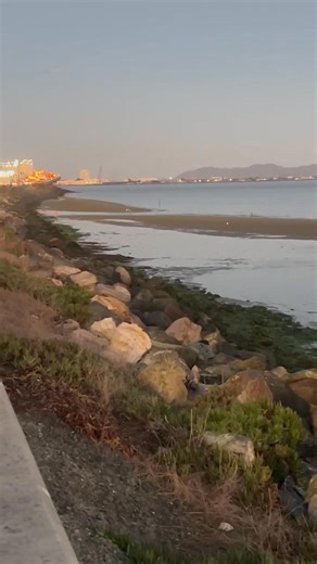 Bay Bridge  | Sandy Maya | Facebook