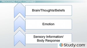 Bottom-Up Processing | Definition & Examples - Video | Study.com