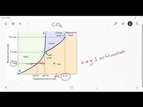The phase diagram of carbon dioxide