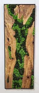 Custom Moss Wall Art: Olive Wood & Metal Frame, Preserved Moss Decor - Etsy